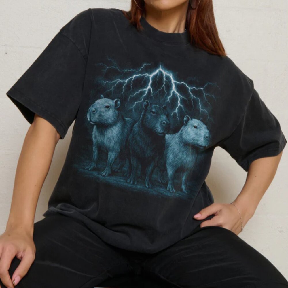 Capybara - Thunderstorm Trio Design Wash T-Shirt